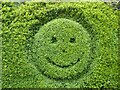 SO5305 : Smiley face in a hedge by Philip Halling