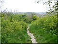 Following the Jubilee Way in Eastbourne [18]