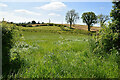 An open field, Tonnagh More