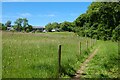 Footpath and grassland, Feock