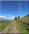 NN6031 : Mobile phone mast in the Tay Forest by Andy Waddington