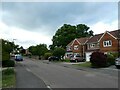 Looking northwards in Lower Mead