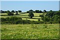 Farmland, St Columb Major