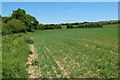 Farmland, St Issey