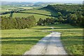 Track through pasture, St Wenn