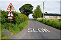 Slow markings along Ballintrain Road