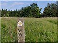 North Worcestershire Path near Huntsfield Cottage