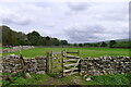 The Weardale Way near East Blackdene