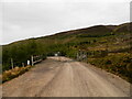 Track into forest near Gaich