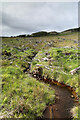 NM4220 : Minor stream in Scoor Forest clearcut by Andy Waddington