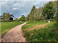 Winding path, top of Eastcliff Park, Teignmouth