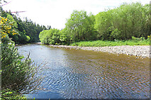 NH8451 : River Nairn by Anne Burgess