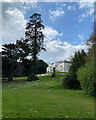 The Rowdens seen from Eastcliff Park, Teignmouth