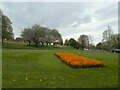 Flower bed by A52 at Mackworth