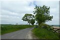 Road leading towards Thixendale