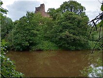NS6859 : Castle above river by Jim Smillie