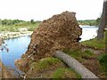 NJ3358 : The dynamic River Spey – erosion at work – 3 by Alan Murray-Rust