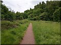 Path: Redlees Urban Park