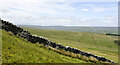 NY8736 : Wall rising on north side of Chapel Fell by Trevor Littlewood
