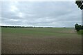 Fields near Huggate Lodge