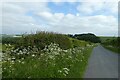 Road in Gilders Dale