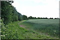 Footpath to Bury Farm