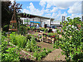 Phoenix Farm, urban community farm, White City