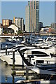 View across Ocean Village Marina to the new Centenary Quay Tower