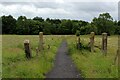 Ribble Way approaching Red Scar Wood