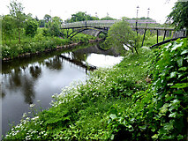 H4572 : Footbridge over the Drumragh River by Kenneth  Allen
