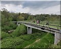 SO7483 : Footbridge across the River Severn by Mat Fascione