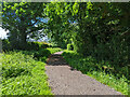 Old road, Charlwood