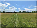 Footpath 321 Charlwood towards Russ Hill