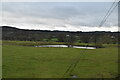 Pond on The Cheshire Plain