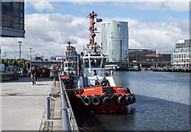 J3474 : Tugboats, Belfast by Rossographer