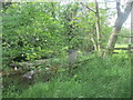 Bishopdale Beck