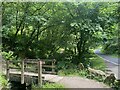 ST2494 : Footbridge through woodland by Alan Hughes