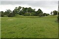 Seckington Castle