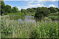 Pond by Banbury Road