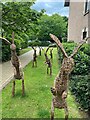 Wicker hares in the garden