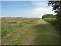 Approaching the common at Cefn Cribwr