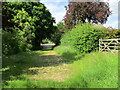 Footpath entering Upper Hambleton