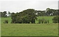 Fields around Mare Burn