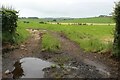 Entrance to pasture above Barneight Burn