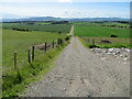 Track between cultivated fields descending towards the River Earn