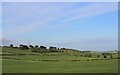 Ayrshire farmland at Mossbog