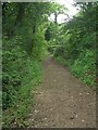 Path at Frog Pond Wood Nature Reserve, Pyle