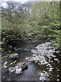 Afon Clywedog