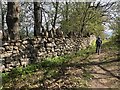 SJ1254 : Footpath alongside a dry stone wall by Eirian Evans