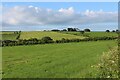 Fields near Rottenrow